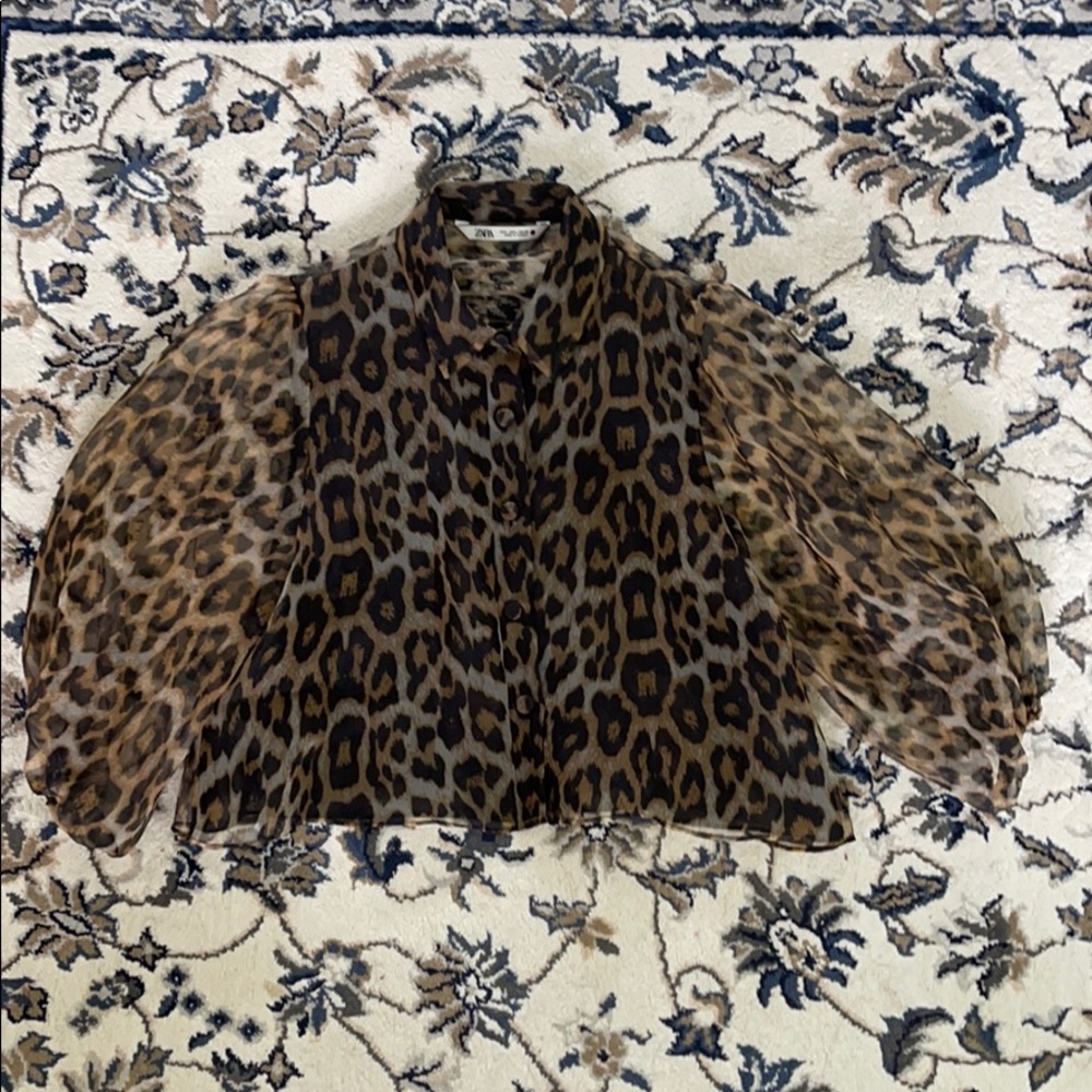 Zara Leopard Print Top